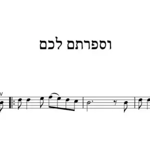 וספרתם לכם