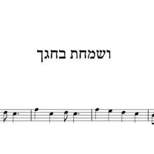 ושמחת בחגך
