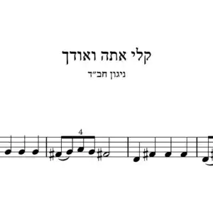 אלי אתה
